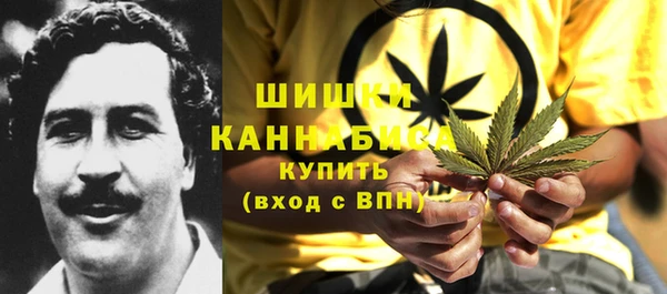 гидра Балахна