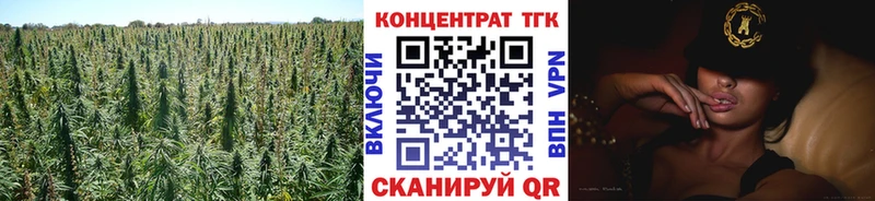 купить   Городец  Дистиллят ТГК гашишное масло 