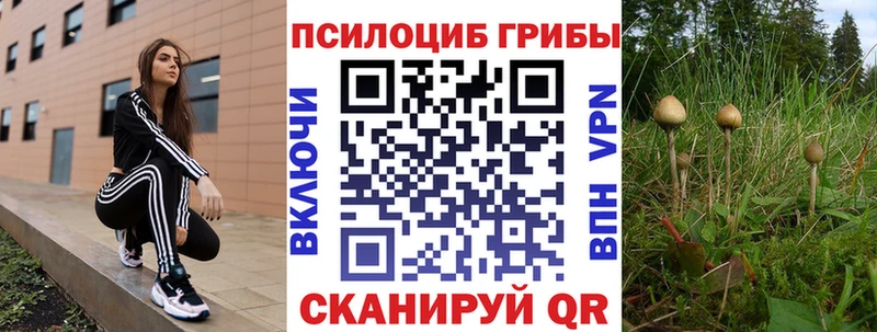 купить закладку  hydra зеркало  Псилоцибиновые грибы GOLDEN TEACHER  Городец 