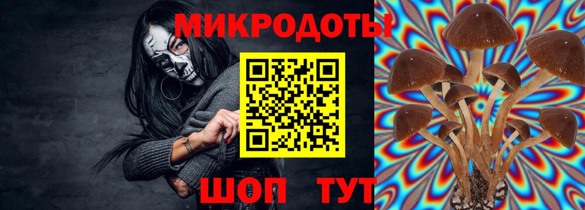 Галлюциногенные грибы ЛСД Городец