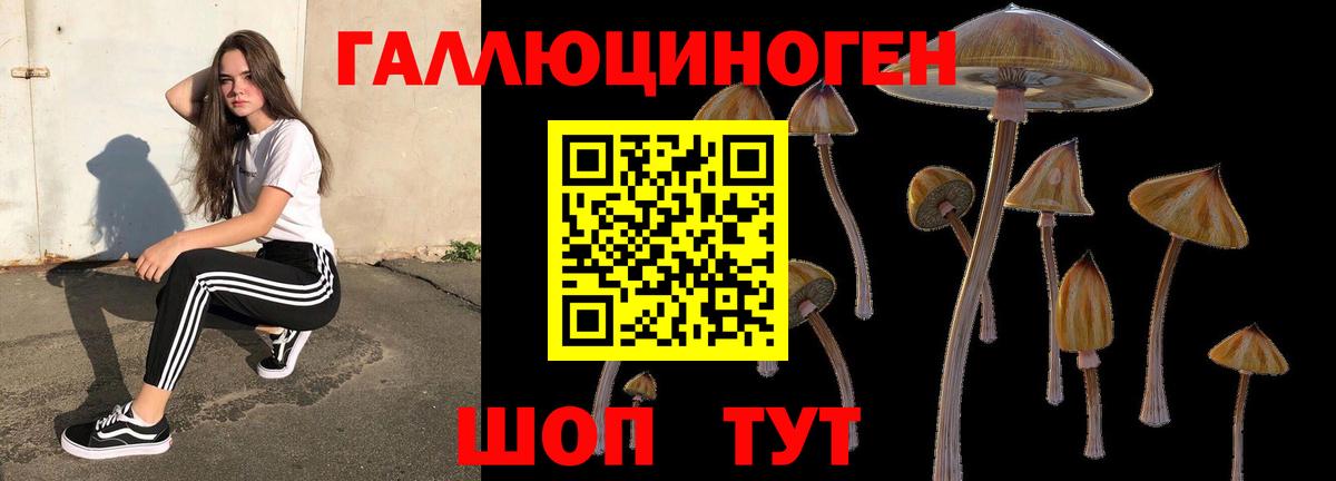 Галлюциногенные грибы прущие грибы  Галлюциногенные грибы ЛСД  Вход с VPN  Городец 