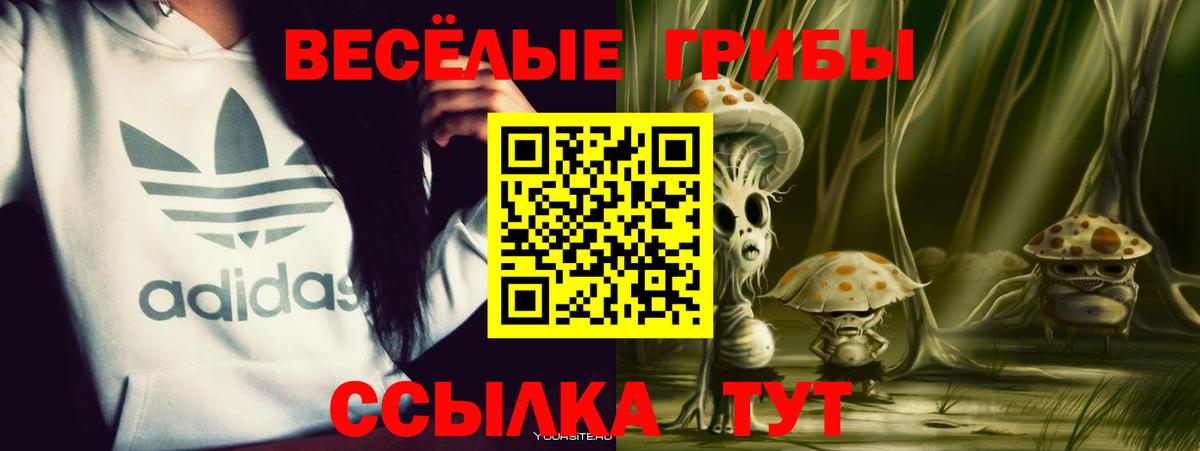 Галлюциногенные грибы ЛСД Городец