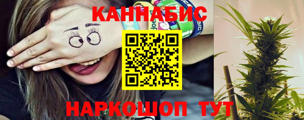 Бошки Шишки Bruce Banner  Шишки марихуана сатива  Вход с VPN  Городец  Марихуана VHQ  Бошки Шишки план 